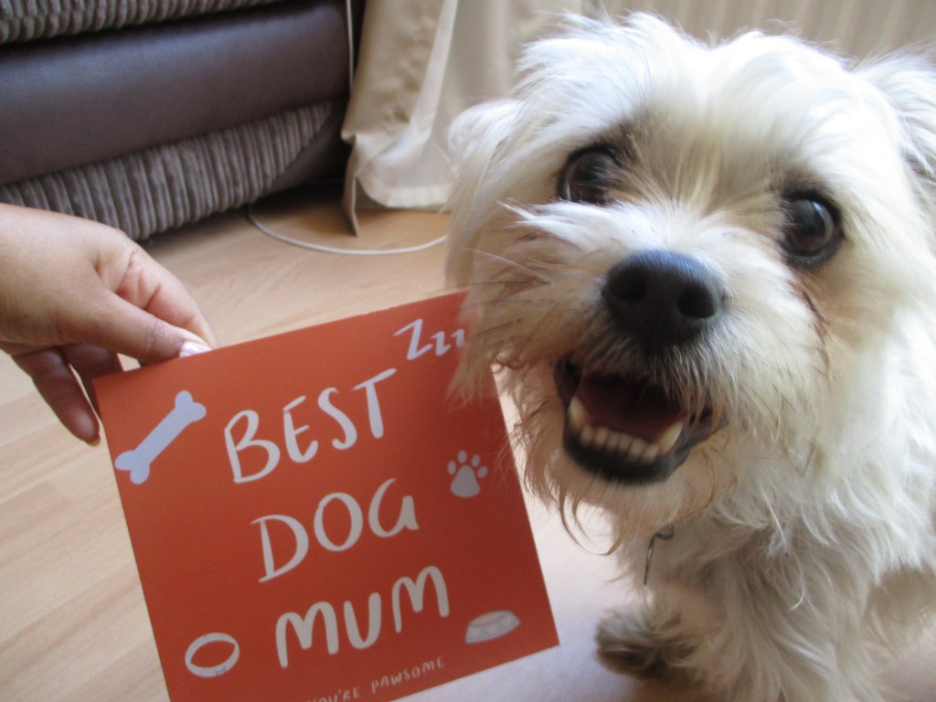 a diverse greeting card by independent business Cards Inclusive